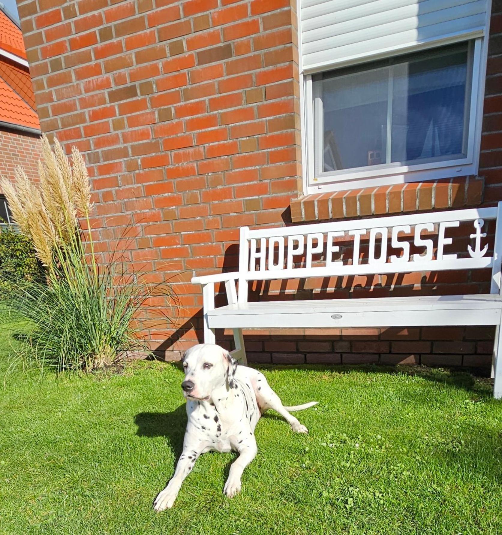 Hoppetosse Apartment เกรทซีล ภายนอก รูปภาพ